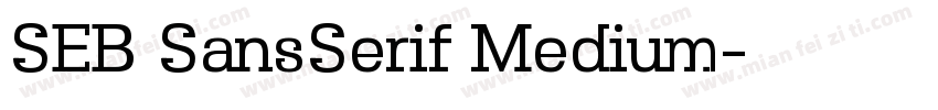 SEB SansSerif Medium字体转换